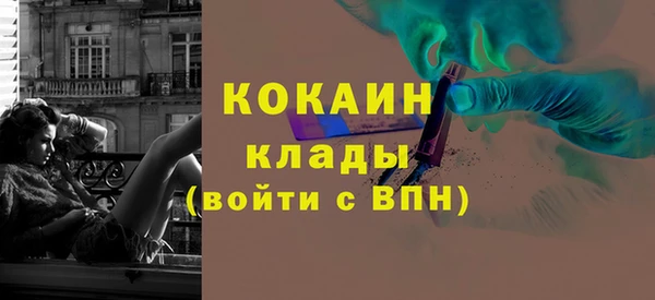 индика Алексеевка